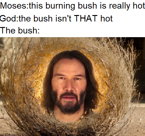 christian christian-memes christian text: Moses:this burning bush is really hot God:the bush isn't THAT hot The bush: 