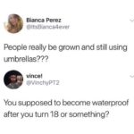 water-memes water text: Bianca Perez @tsBianca4ever People really be grown and still using umbrellas??? vince! @VinchyPT2 You supposed to become waterproof after you turn 18 or something?  water