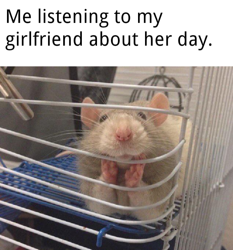 cute wholesome-memes cute text: Me listening to my girlfriend about her day. 