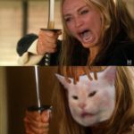 Kill Bill Cat meme Sword meme template