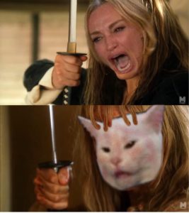 Kill Bill Cat meme  Sword meme template