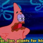 Liar liar plants for hire Spongebob meme template blank  Patrick, Spongebob, Lie, Liar, Lying, Skeptical