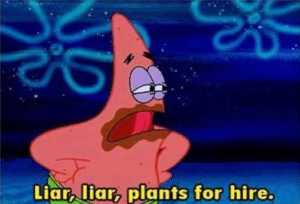 Liar liar plants for hire  Spongebob meme template
