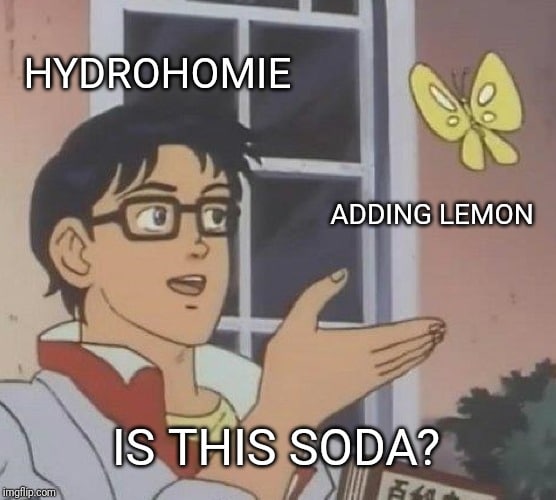 water water-memes water text: HYDROHOMIE ADDING LEMON IS THIS SODA? )mgfligcom 