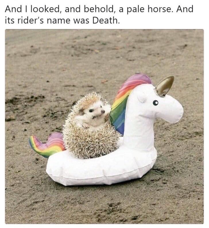 christian christian-memes christian text: And I looked, and behold, a pale horse. And its rider's name was Death. 