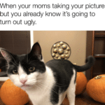 wholesome-memes cute text: When your moms taking your picture but you already know it