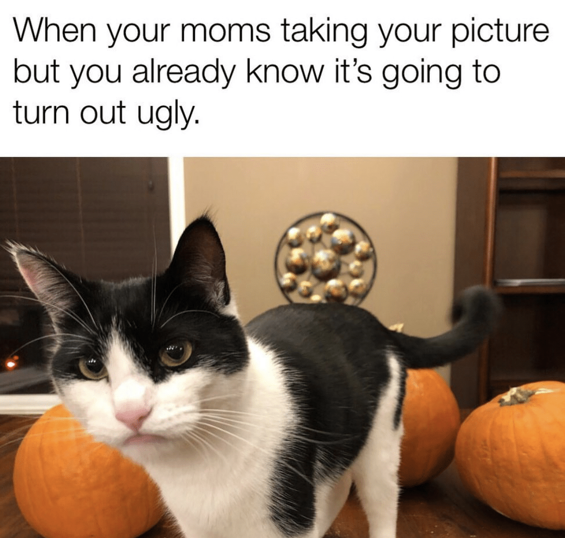 cute wholesome-memes cute text: When your moms taking your picture but you already know it's going to turn out ugly. 