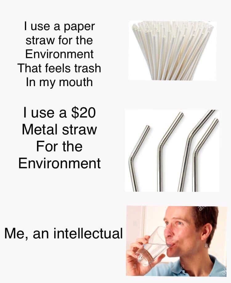 dank other-memes dank text: I use a paper straw for the Environment That feels trash In my mouth I use a $20 Metal straw For the Environment Me, an intellectual 