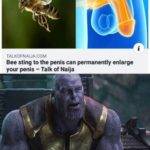 avengers-memes thanos text: TALKOFNAIJACOM Bee sting to the penis can permanently enlarge your penis — Talk of Naija A small price to pay for salvation.  thanos