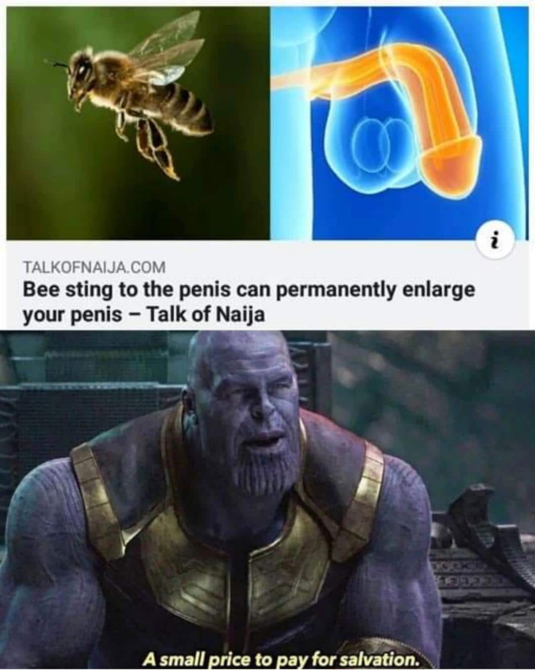 thanos avengers-memes thanos text: TALKOFNAIJACOM Bee sting to the penis can permanently enlarge your penis — Talk of Naija A small price to pay for salvation. 
