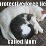 wholesome-memes cute text: A protective force field called Mom  cute