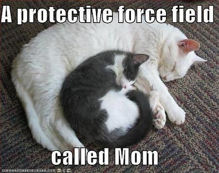 cute wholesome-memes cute text: A protective force field called Mom 