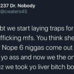 black-twitter-memes tweets text: 237 Dr. Nobody @cwaters45 How abt we start laying traps for these sex trafficking mfs. You think she alone? Nope 6 niggas come out the cut on yo ass and now we the ones rich cuz we took yo liver bitch boy  tweets