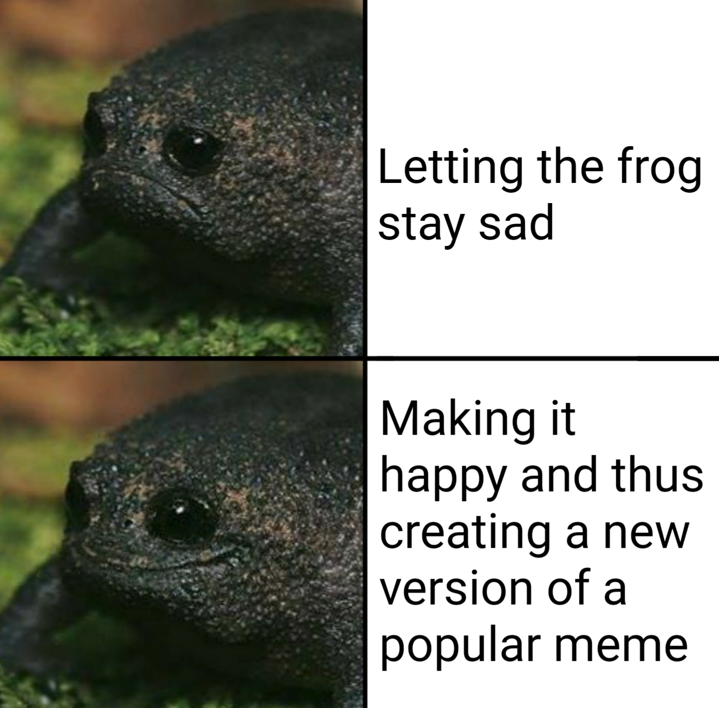 cute wholesome-memes cute text: Letting the frog stay sad Making it happy and thus creating a new version of a popular meme 