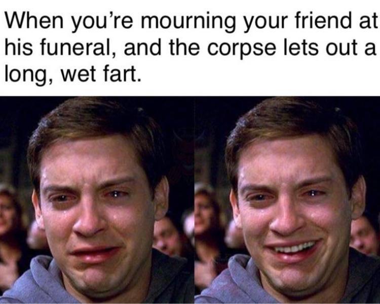 Dank Meme dank-memes cute text: When you're mourning your friend at his funeral, and the corpse lets out a long, wet fart. 