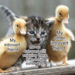 wholesome-memes cute text: My introvert Me an still enjoying there friendship. either way other friend  cute