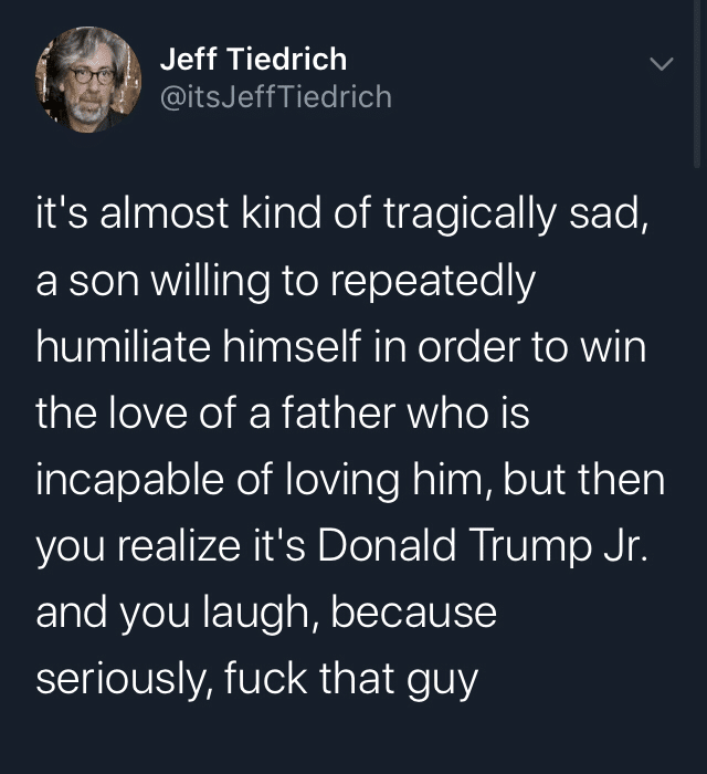 political political-memes political text: Jeff Tiedrich @itsJeffTiedrich itls almost kind of tragically sad, a son willing to repeatedly humiliate himself in order to win the love of a father who is incapable of loving him, but then you realize itls Donald Trump Jr. and you laugh, because seriously, fuck that guy 