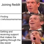 wholesome-memes cute text: Joining Reddit Finding r/wholesomememes Getting and receiving support that makes the getting through the day easier  cute