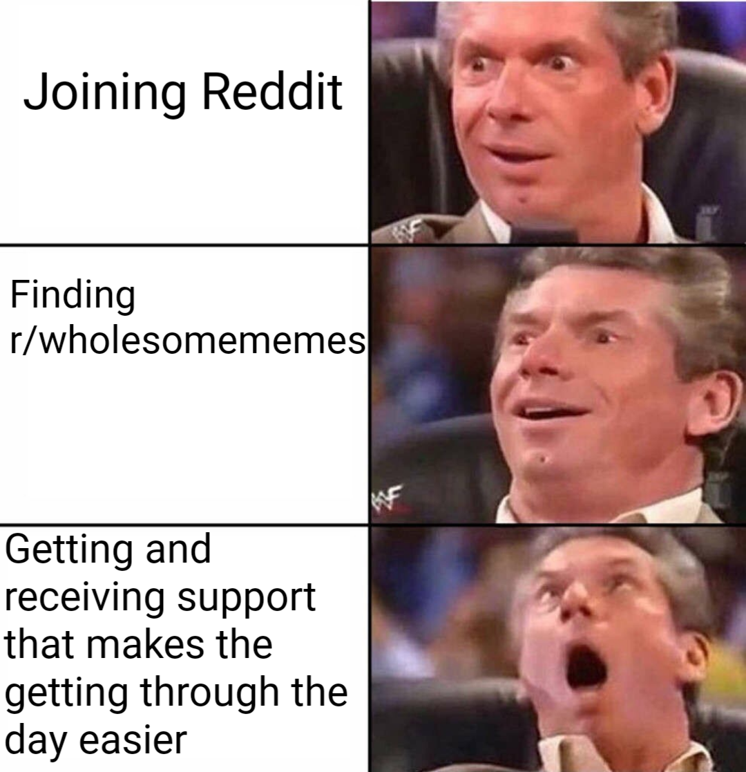 cute wholesome-memes cute text: Joining Reddit Finding r/wholesomememes Getting and receiving support that makes the getting through the day easier 