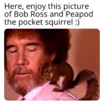 wholesome-memes cute text: Here, enjoy this picture of Bob Ross and Peapod the pocket squirrel :)  cute