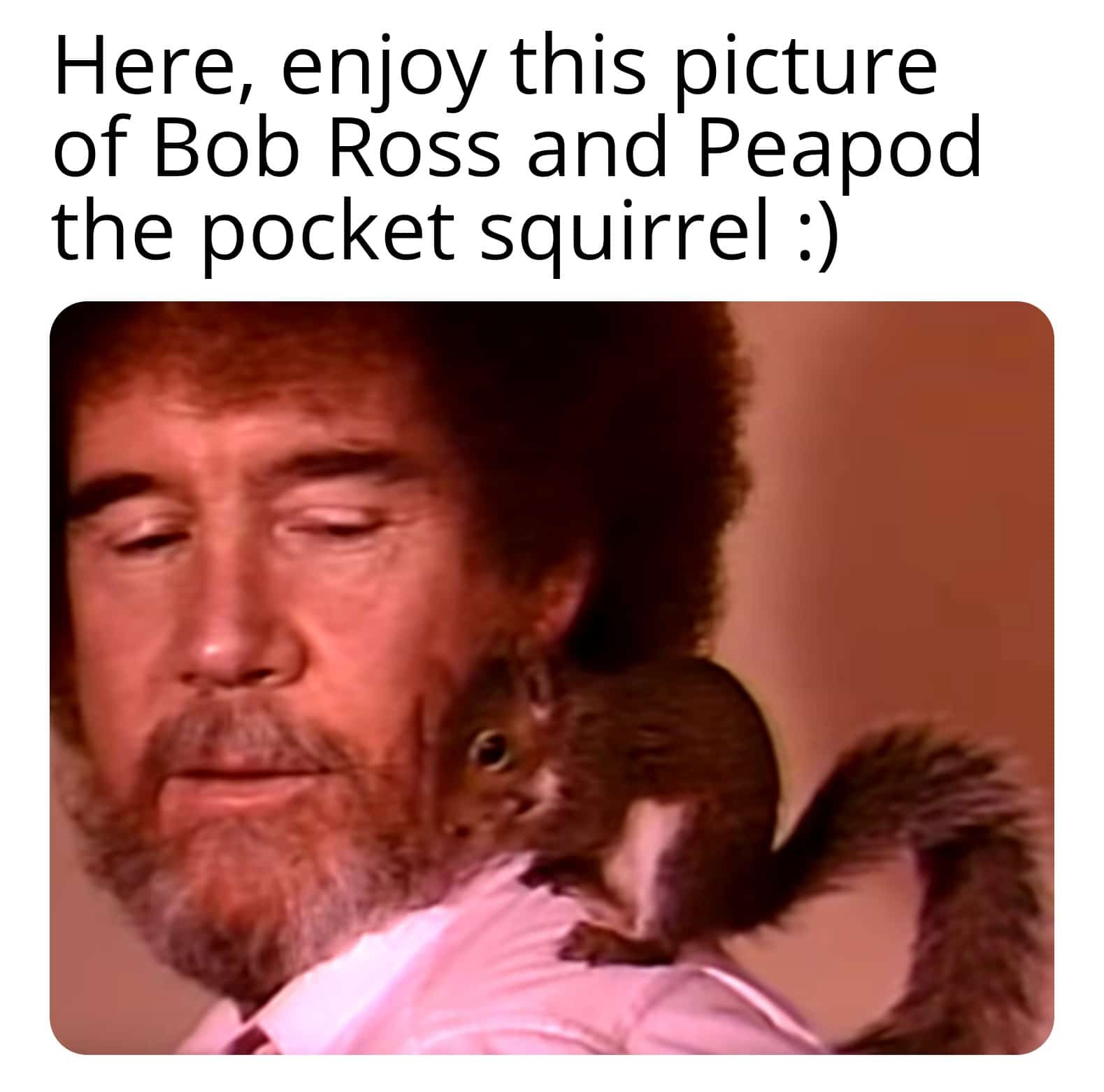cute wholesome-memes cute text: Here, enjoy this picture of Bob Ross and Peapod the pocket squirrel :) 