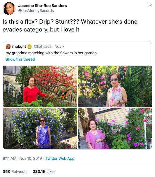 Tweet, Wholesome, Black Twitter wholesome-memes black text: Jasmine Sha-Ree Sanders @JasMoneyRecords Is this a flex? Drip? Stunt??? Whatever she's done evades category, but I love it makulit @fizhsaus Nov 7 my grandma matching with the flowers in her garden Show this thread 811 AM • NOV 10, 2019 • Twitter web APP 230.1K Likes 35K Retweets 