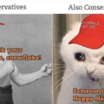 political-memes political text: Conservatives Tzck_ your; tnowflake! Also Conservatives _+MERICA IF.T2020 Someone told ihe. Happy ,Hölidays  political
