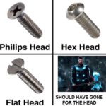 avengers-memes thanos text: Philips Head Flat Head Hex Head SHOULD HAVE GONE FOR THE HEAD  thanos