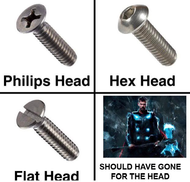 thanos avengers-memes thanos text: Philips Head Flat Head Hex Head SHOULD HAVE GONE FOR THE HEAD 