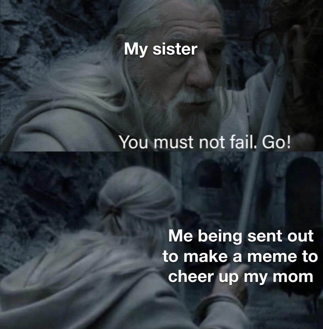 cute wholesome-memes cute text: My sister You must not fail. Go! Me being sent out to make a meme to #9heer up my mom 