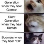 history-memes history text: GeneratiOn when they hear German Silent GeneratiOn when they hear Korean Boomers when they hear  history