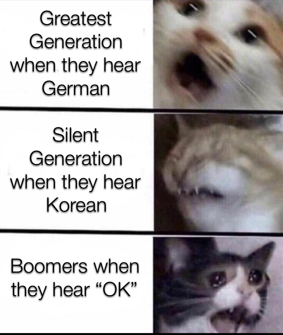 history history-memes history text: GeneratiOn when they hear German Silent GeneratiOn when they hear Korean Boomers when they hear 