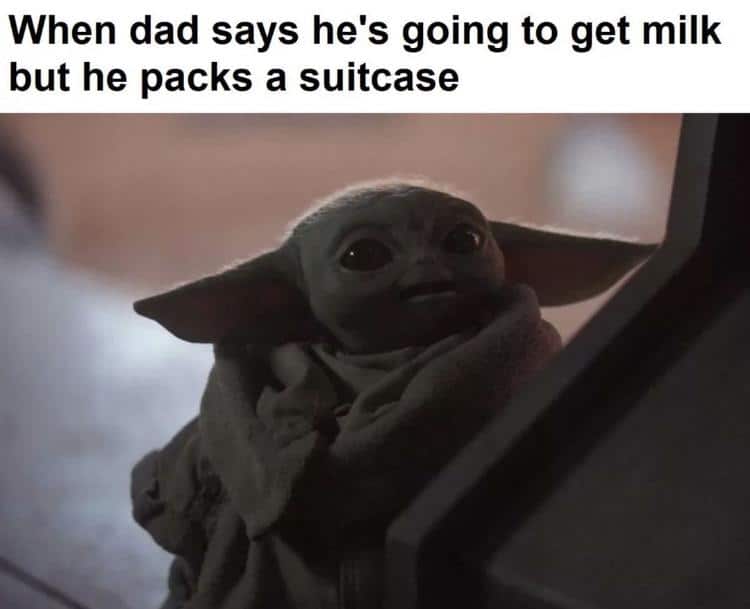 Dank Meme dank-memes cute text: When dad says he's going to get milk but he packs a suitcase 