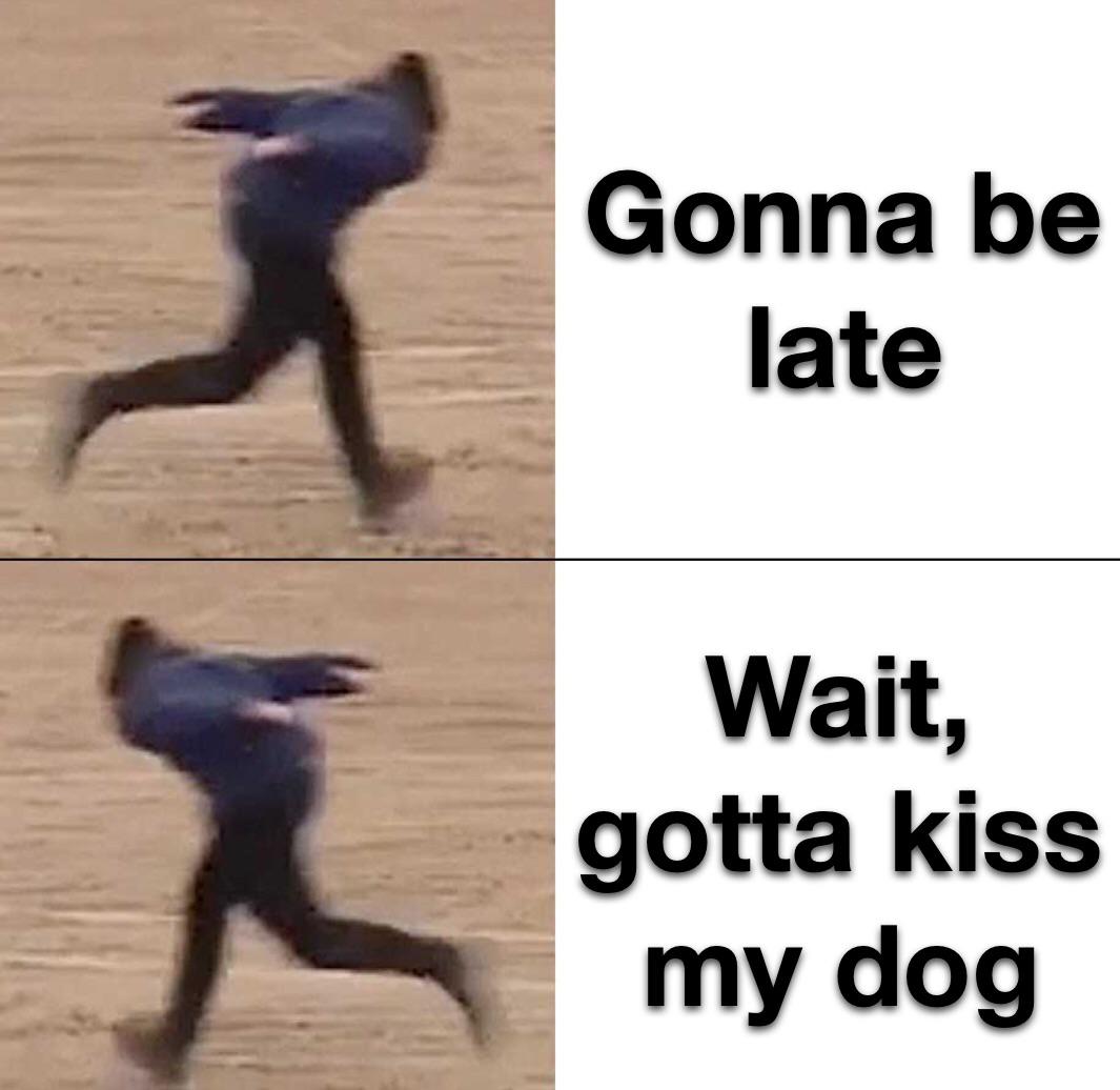 cute wholesome-memes cute text: Gonna be late wait, gotta kiss my dog 