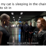 avengers-memes thanos text: When my cat is sleeping in the chair I want to sit in MoveOr you will be, moved.  thanos