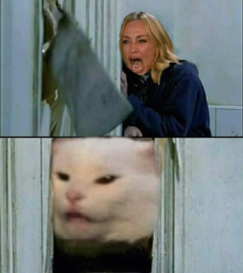 The Shining yelling at cat Cobra Kai Woman search meme template