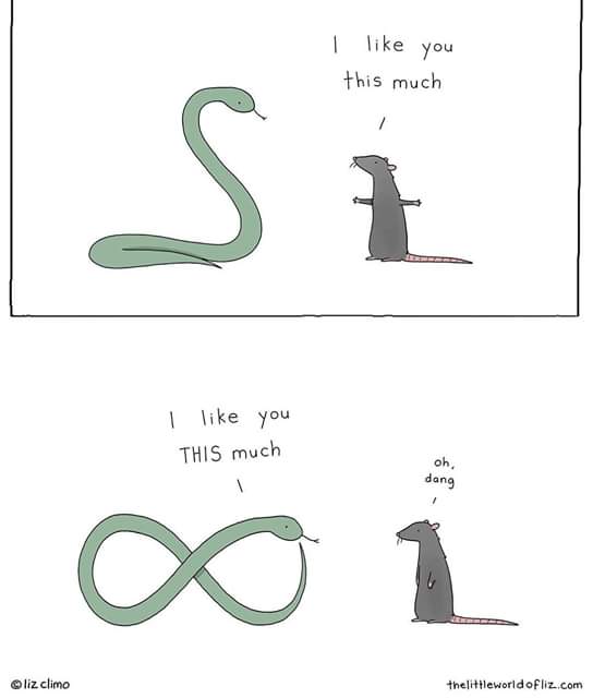 cute wholesome-memes cute text: like you f his much dang you THIS much 00 liz climo 
