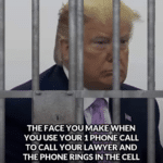 political-memes political text: THE FACE YOU MAKEYVHEN YOU USE YOUR 1 PHONE CALL TO CALL YOUR LAWYER AND THE PHONE RINGS IN THE CELL NEXT TO YOU!  political