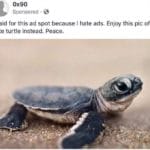 other-memes dank text: ox90 Sponsored • I paid for this ad spot because I hate ads. Enjoy this pic of a cute turtle instead. Peace.  dank