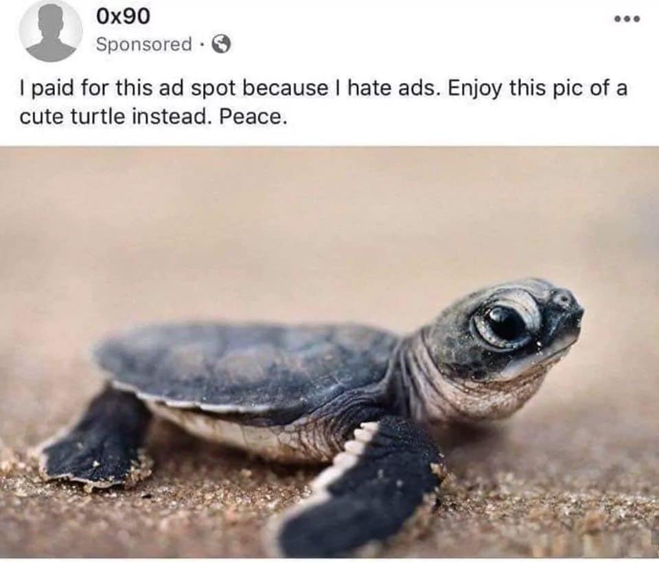 dank other-memes dank text: ox90 Sponsored • I paid for this ad spot because I hate ads. Enjoy this pic of a cute turtle instead. Peace. 