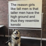 star-wars-memes prequel-memes text: The reason girls like tall men is that taller men have the high ground and thus they resemble kenobi  prequel-memes