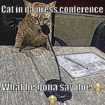 deep-fried-memes deep-fried text: Cat in da lłress-conference Wlłat lle gona sali [loe  deep-fried