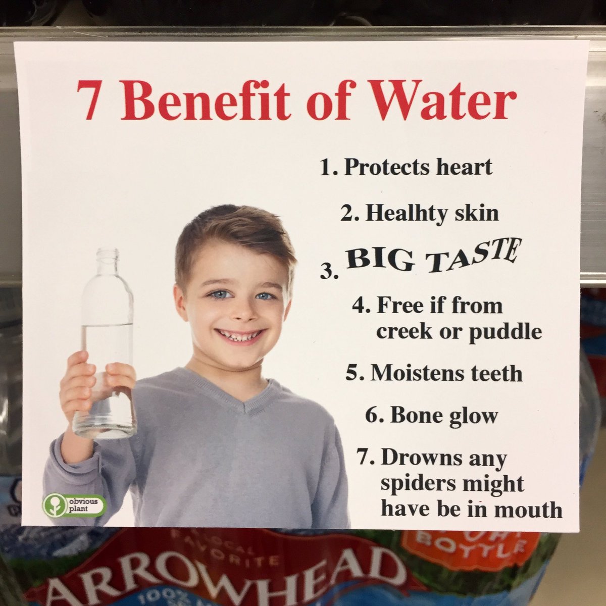 water water-memes water text: 7 Benefit of Water plant 1. Protects heart 2. Healhty skin 4. Free if from creek or puddle 5. Moistens teeth 6. Bone glow 7. Drowns any spiders might have be in mouth 