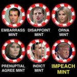political-memes political text: EMBARRASS DISAPPOINT PRENUPTIAL AGREE MINT INDICT MINT ORNA IMPEACH MINT  political