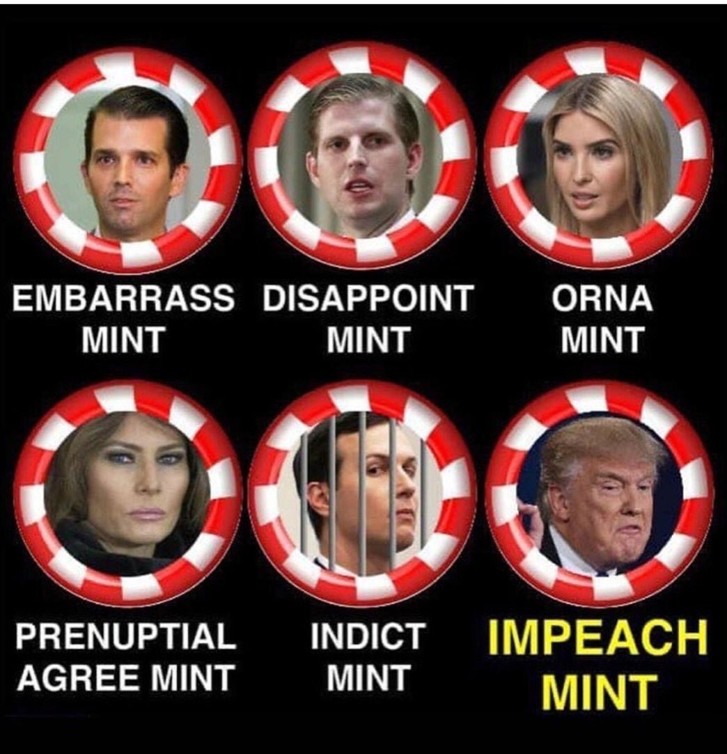 political political-memes political text: EMBARRASS DISAPPOINT PRENUPTIAL AGREE MINT INDICT MINT ORNA IMPEACH MINT 