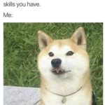 wholesome-memes cute text: cerviewer: So, tell me what skills you have.  cute