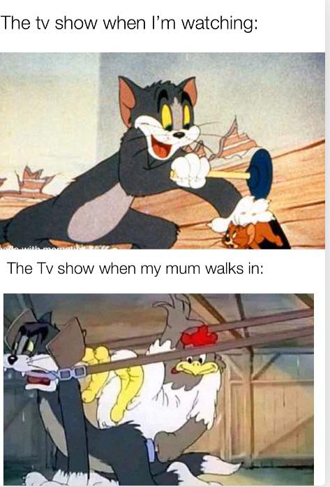 Dank Meme dank-memes cute text: The tv show when I'm watching: The Tv show when my mum walks in: 