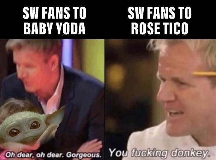 sequel-memes star-wars-memes sequel-memes text: SW FANS TO SW FANS TO ROSE TICO You lucking donkey 