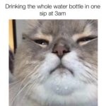 water-memes water text: Drinking the whole water bottle in one sip at 3am Sustenan& ,  water