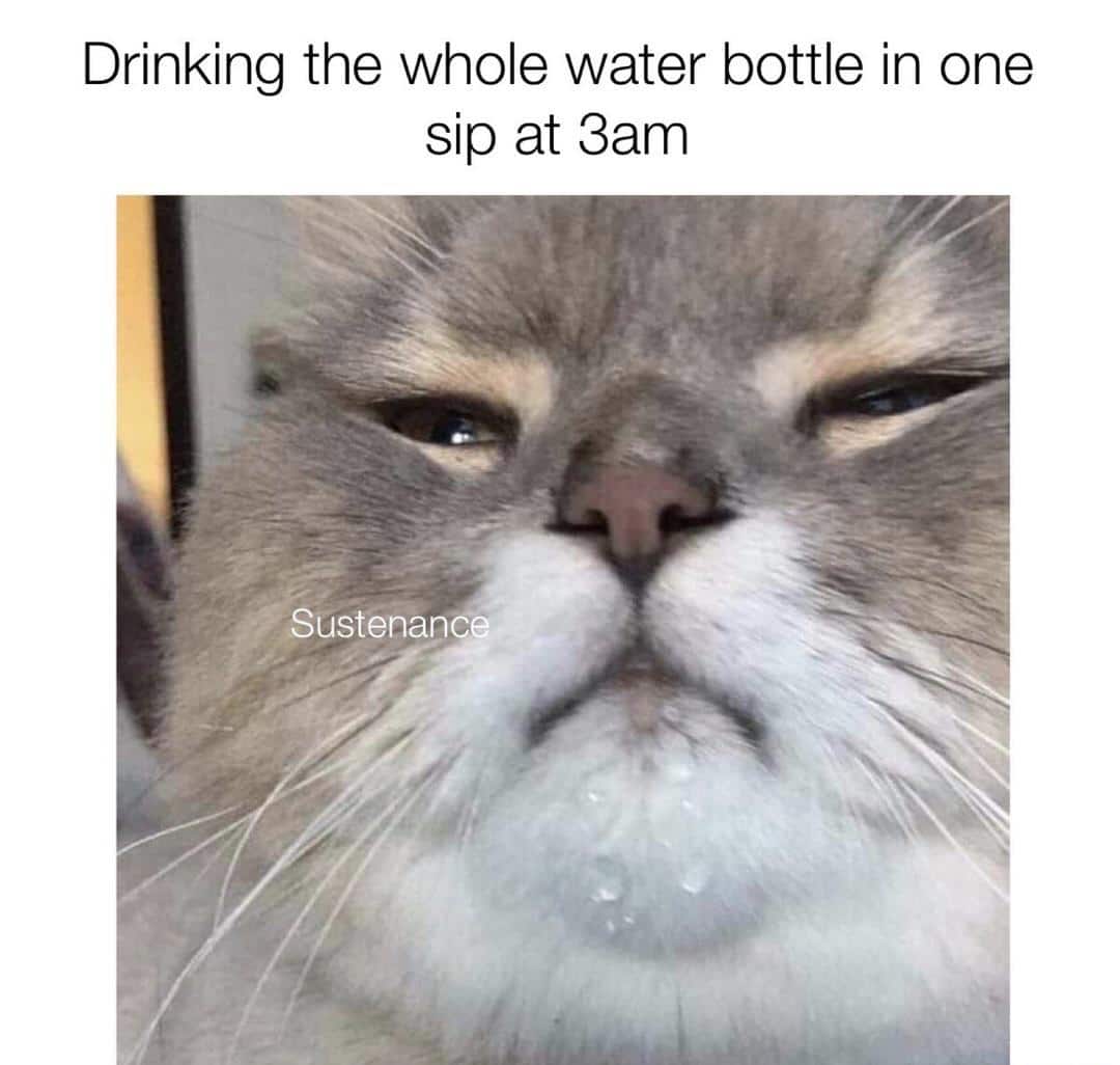 water water-memes water text: Drinking the whole water bottle in one sip at 3am Sustenan& , 